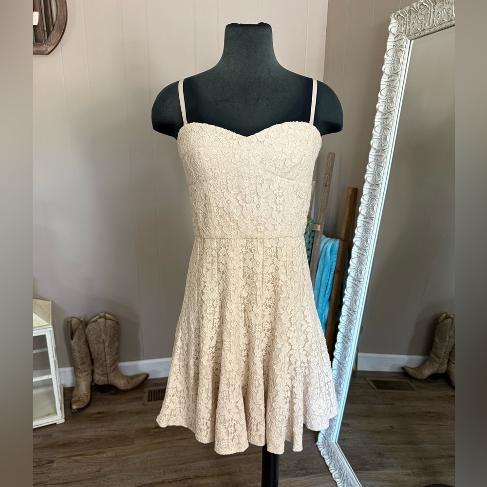 BCBGMaxAzria • Lisanne Corset Lace Mini Dress